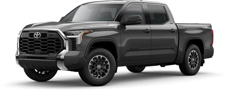 2022 Toyota Tundra SR5 in Magnetic Gray Metallic | Sunny King Toyota in Anniston AL