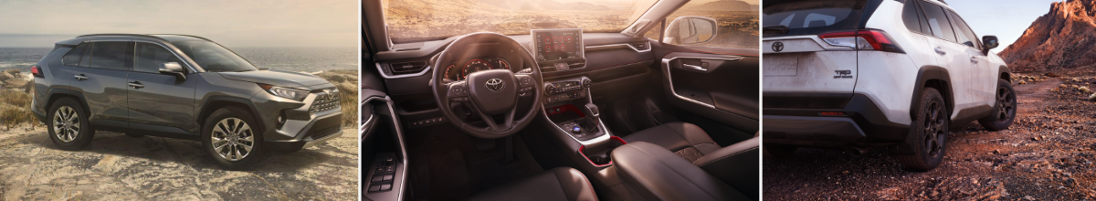 2019 Rav4 pics