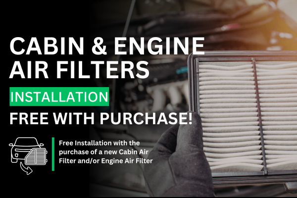 Cabin & Engine Air Filters